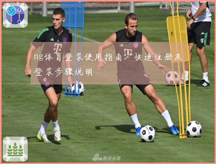 ng体育登录使用指南:快速注册及登录步骤说明