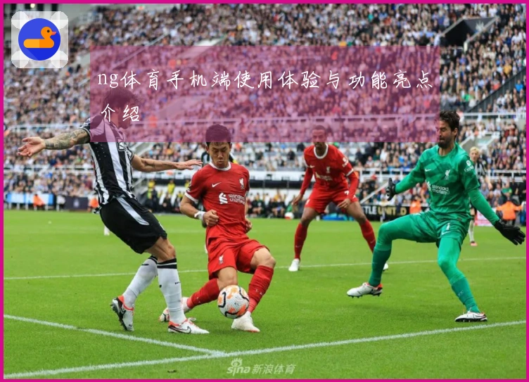 ng体育手机端使用体验与功能亮点介绍