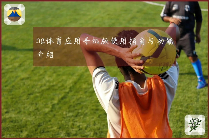 ng体育应用手机版使用指南与功能介绍