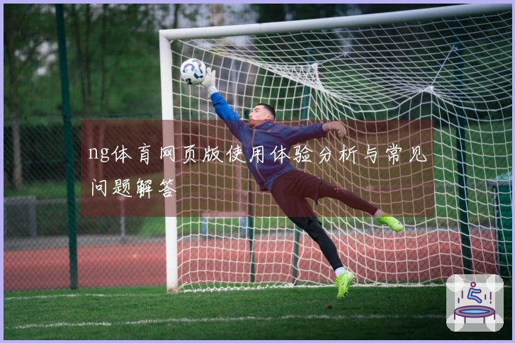 ng体育网页版使用体验分析与常见问题解答