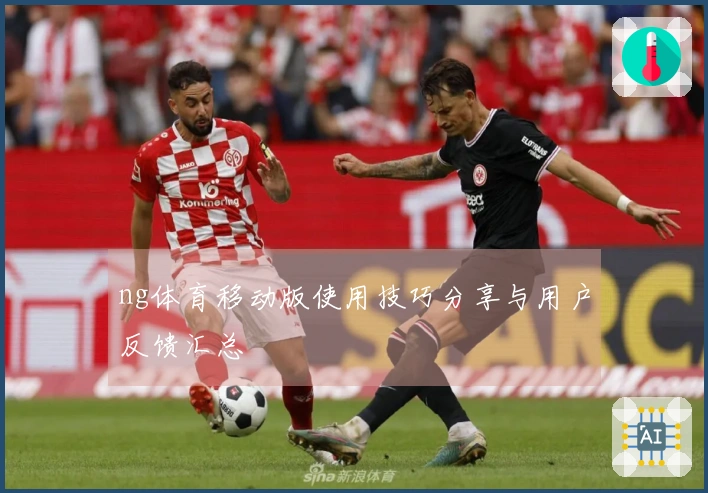 ng体育移动版使用技巧分享与用户反馈汇总