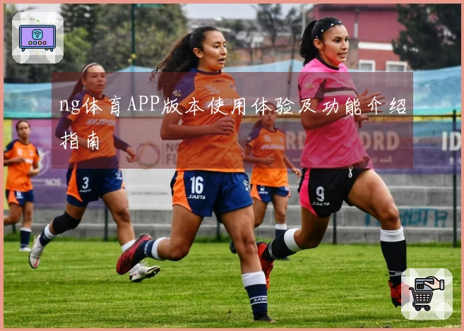 ng体育APP版本使用体验及功能介绍指南