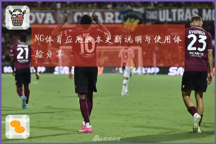 NG体育应用版本更新说明与使用体验分享